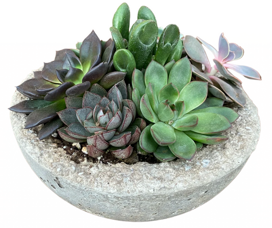 LITESTONE ARRANGEMENTS MEDIUM BOWL