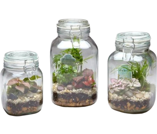 10' TALL MASON JAR TERRARIUM