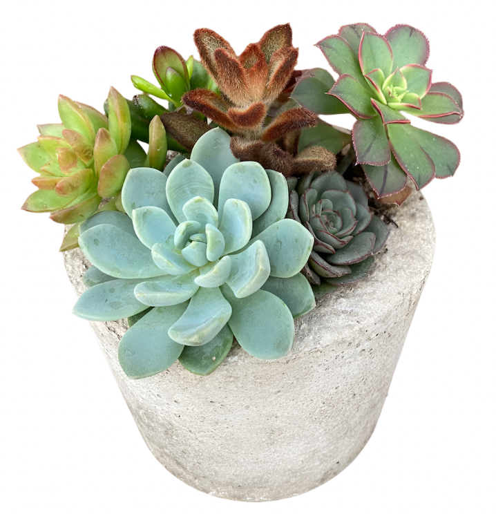 LITESTONE ARRANGEMENTS SMALL ROUND POT