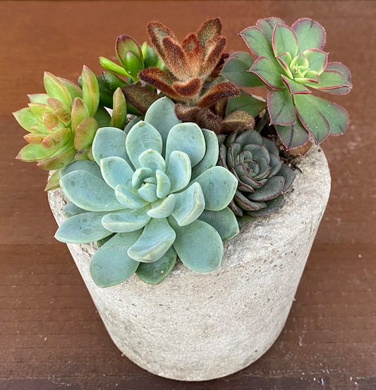 LITESTONE ARRANGEMENTS SMALL ROUND POT