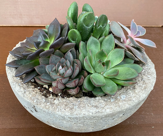 LITESTONE ARRANGEMENTS MEDIUM BOWL