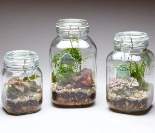 10' TALL MASON JAR TERRARIUM